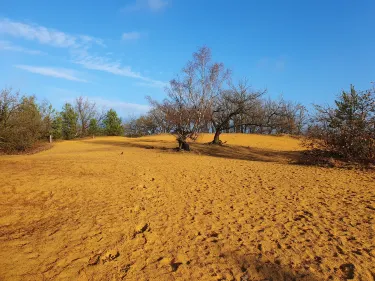 Hoge Kempen National Park