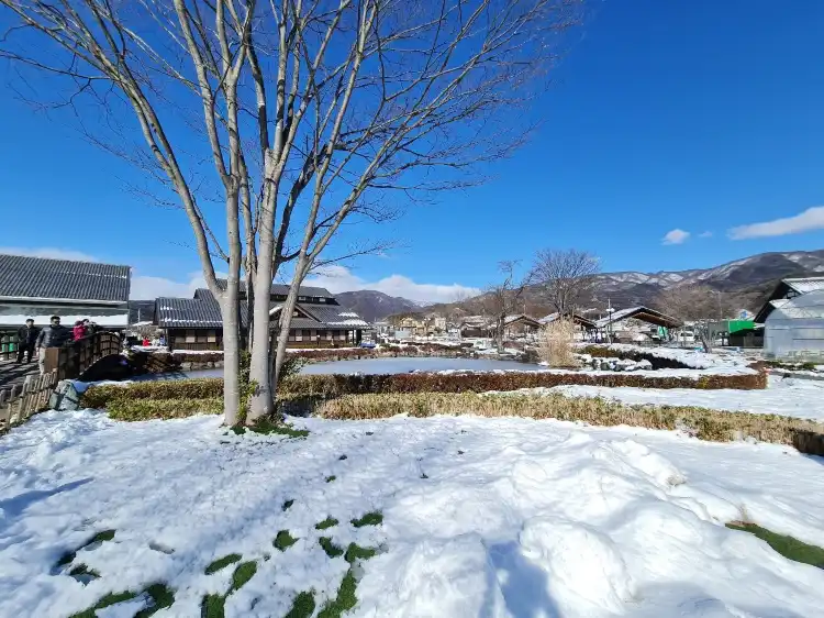 蠶影山堂附近的飯店