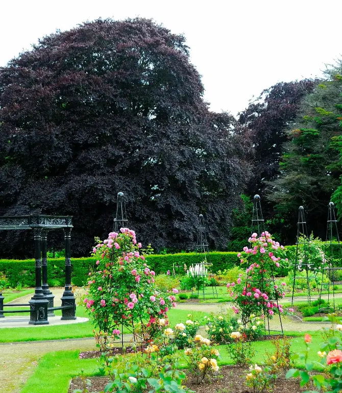South Dublin
