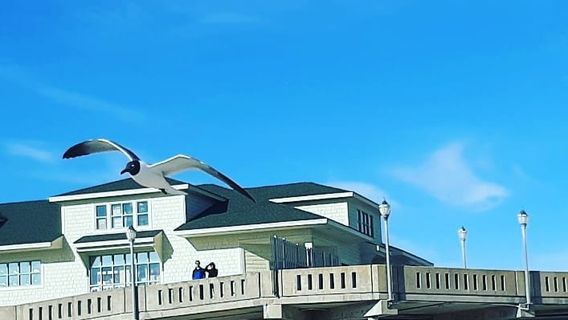 Johnnie Mercers Fishing Pier