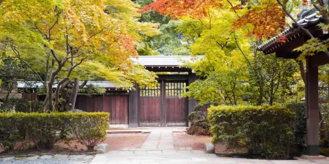 平林寺