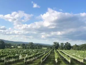 Breaux Vineyards