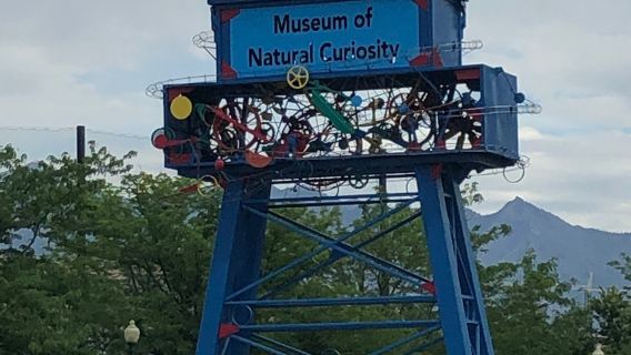 Curious Kids' Museum