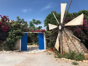Cretan Olive Oil Farm