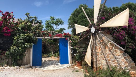 Cretan Olive Oil Farm