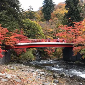 中野紅葉山