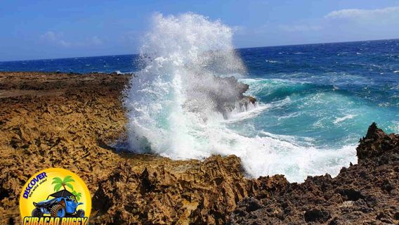 CURACAO BUGGY ADVENTURES