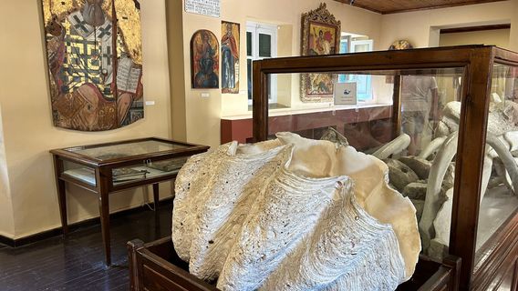 Monastery of Paleokastritsa