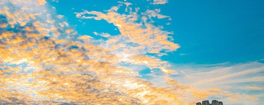 자톤