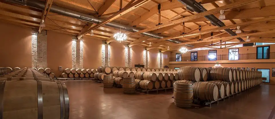 5_Emilio Moro Winery
