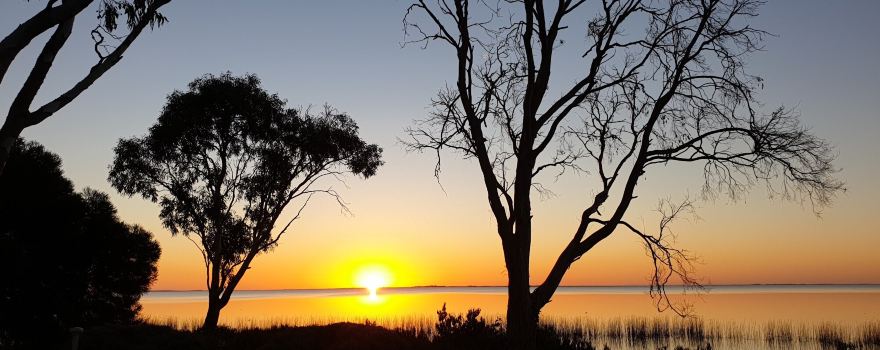 Coorong