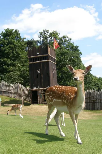 Stansted Mountfitchet