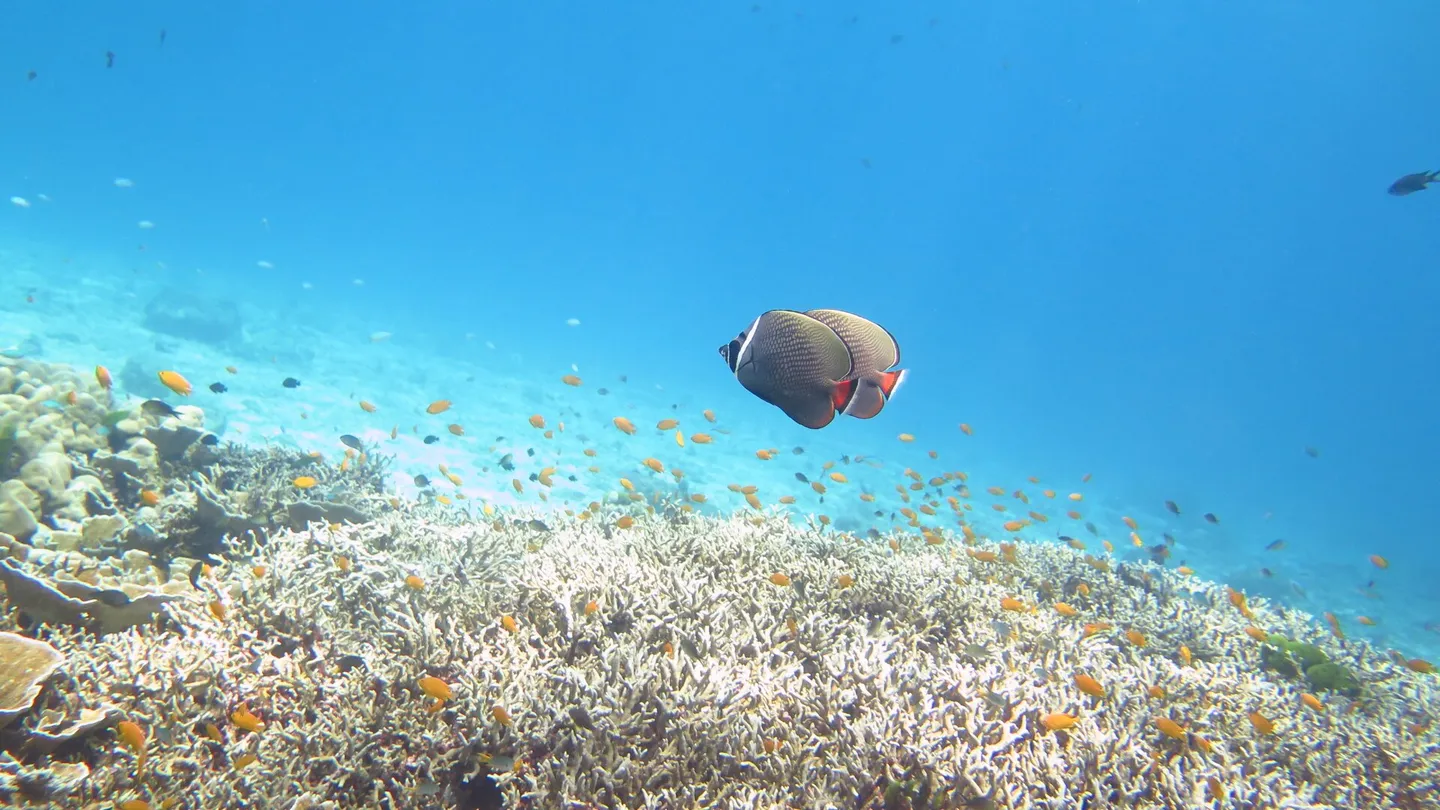 5_Aqua One Watersports Phuket Co. Ltd.