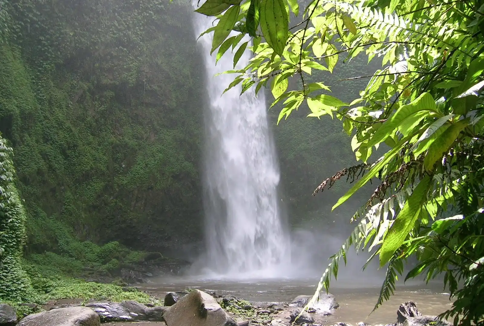 Hotels near Kiadan Pelaga Village