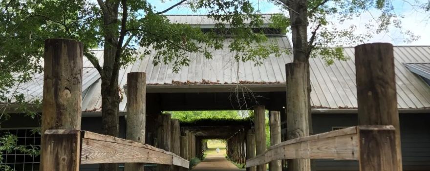 San Augustine