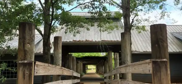 Hotels in San Augustine