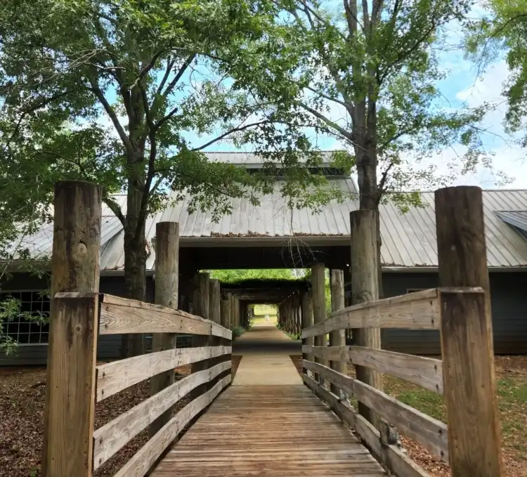 San Augustine