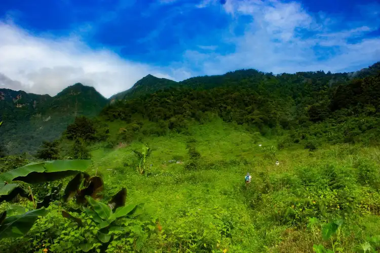 Kohima