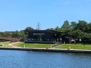 富山的熱門踏青走春地