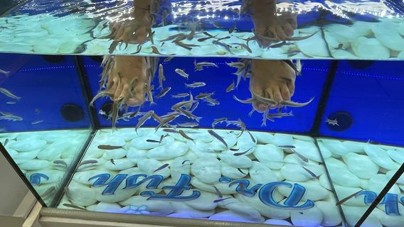 Garra Rufa Fish SPA