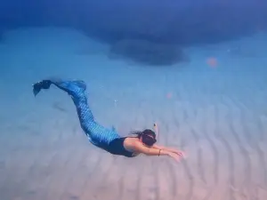 Rincon Diving & Snorkeling