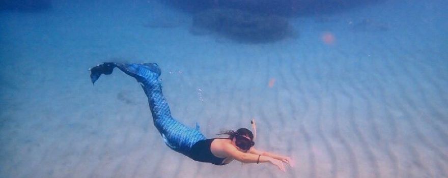 Rincon Diving & Snorkeling