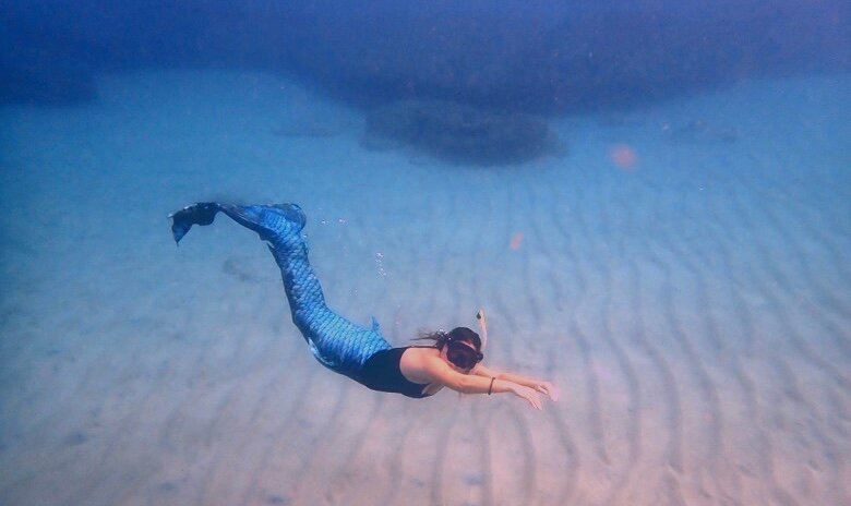 Rincon Diving & Snorkeling