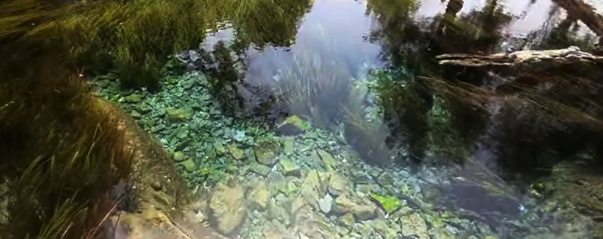 Sacred Spring Chiluchor Chashma