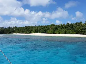 Tongan Expeditions Dive & Whale Watching