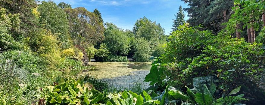 Dingle Garden