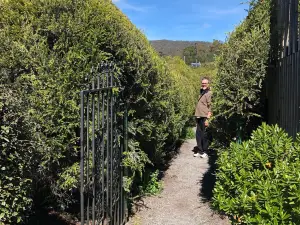 Glengarry Bush Maze