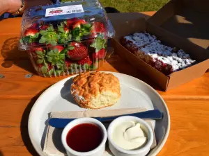 Shaylee Strawberries
