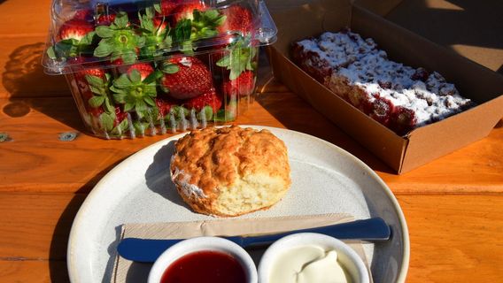 Shaylee Strawberries