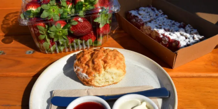 Shaylee Strawberries