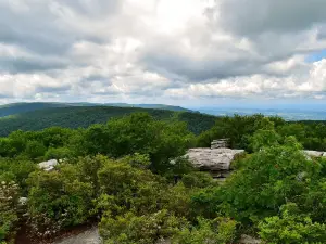 The Channels Natural Area Preserve