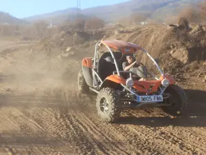 Buggy Safari