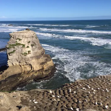 Mangawhai Heads Beach