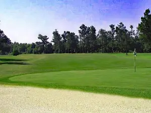 Shannon Greens Golf Club