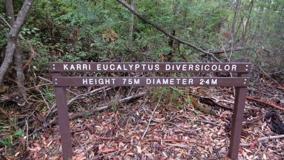 Greater Beedelup National Park