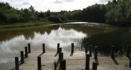 New Lount Nature Reserve