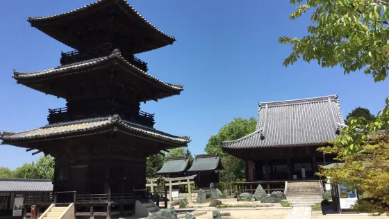 餘慶寺