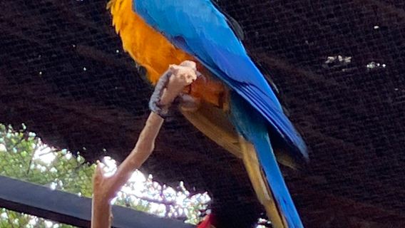 Rajali Birds Park