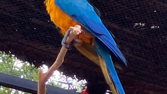 Rajali Birds Park