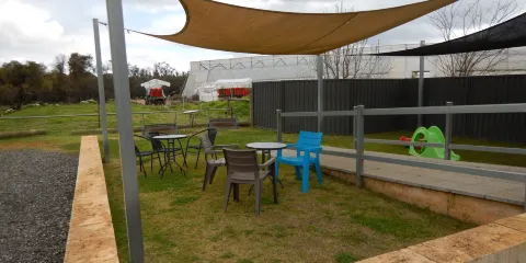 Berry Sweet Strawberry Farm