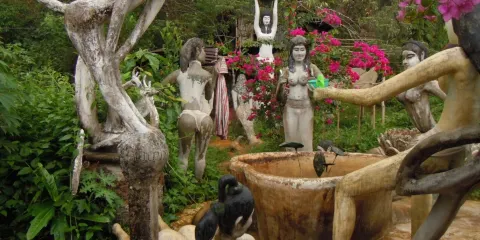 The Kingdom of Somchai’s Affection