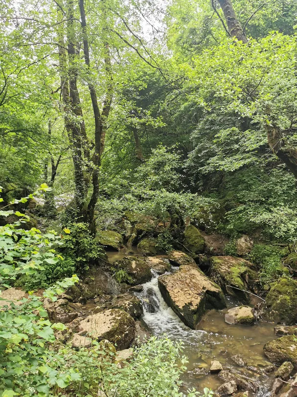 2_Sumidero del Río Guareña