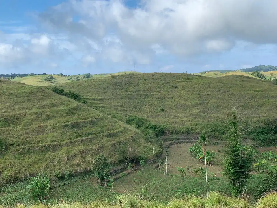 5_Teletubbies Hill