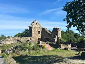 Burgruine Runding