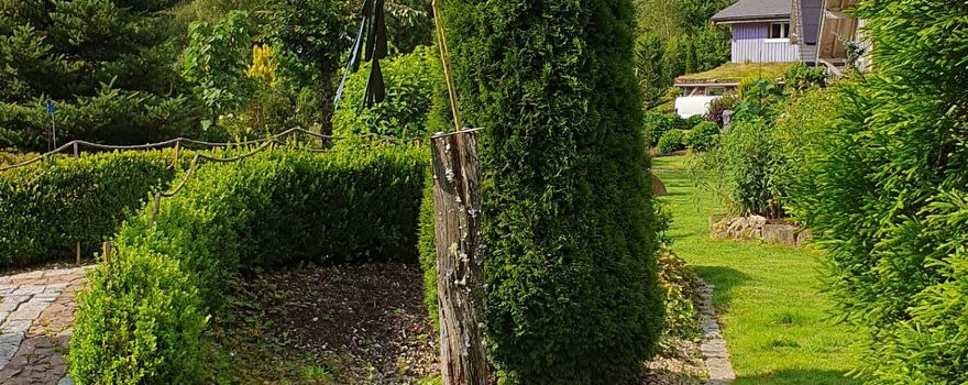 Cornimont