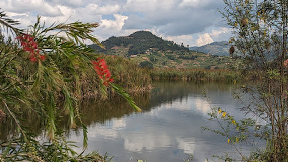 Lake Bunyonyi Wetland